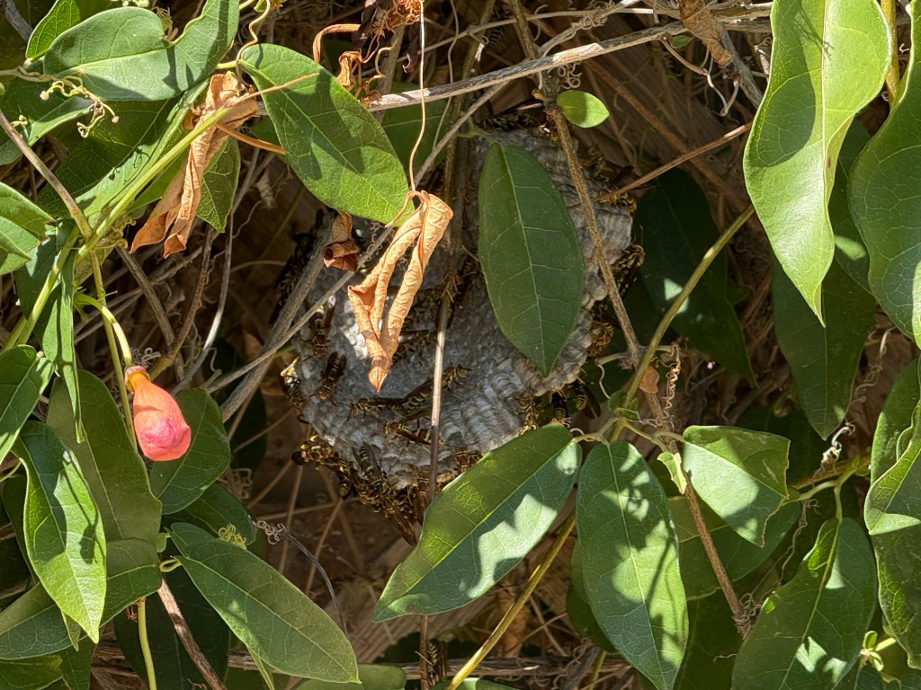 Monday Moments: Big Changes and Small&nbsp;Blessings