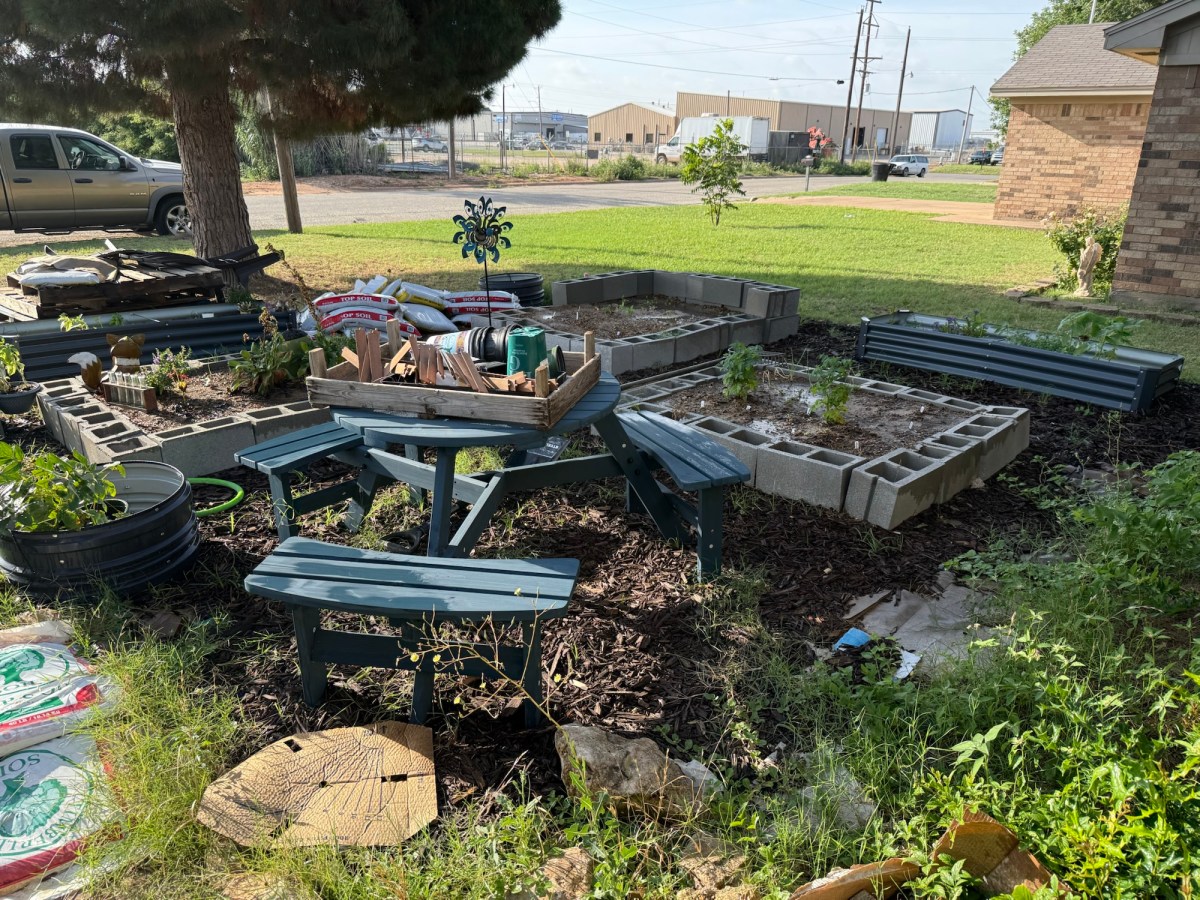 Garden Updates: One Month and Signs of Growth! (June 2026&nbsp;Recap)