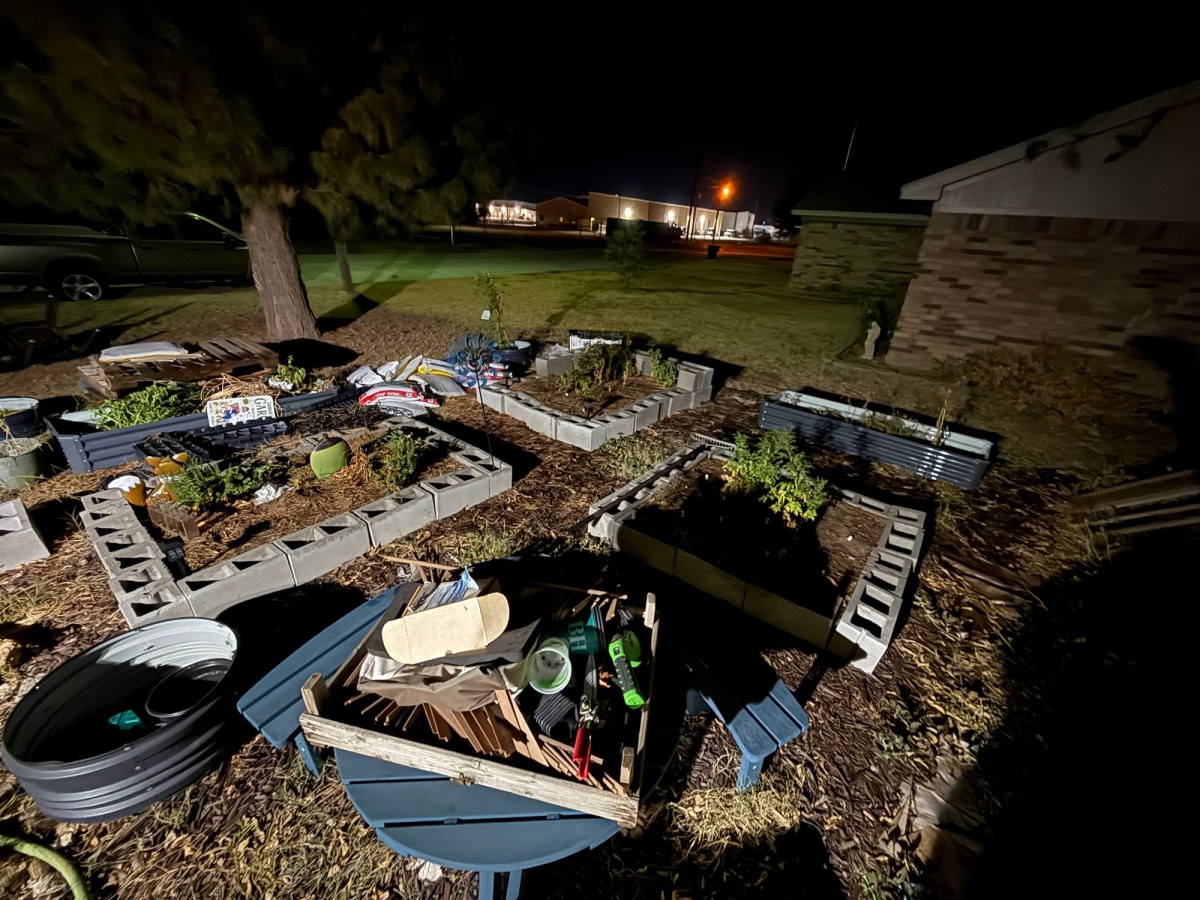 Why Night Gardening May Be Your New Favorite Thing (and Other Ways to Beat the&nbsp;Heat)